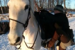 Klikkertrening fra hesteryggen