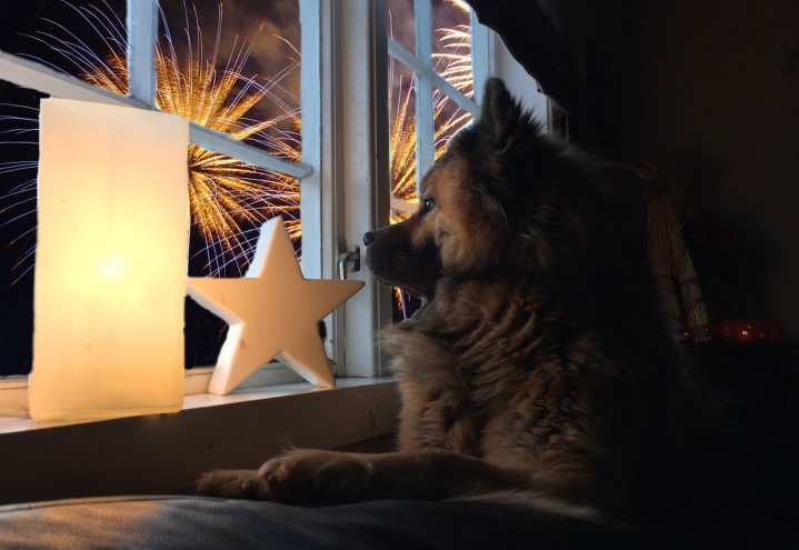 Nyttårsfeiring med feromoner og thundershirt