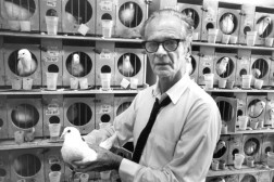 Historietime med B. F. Skinner