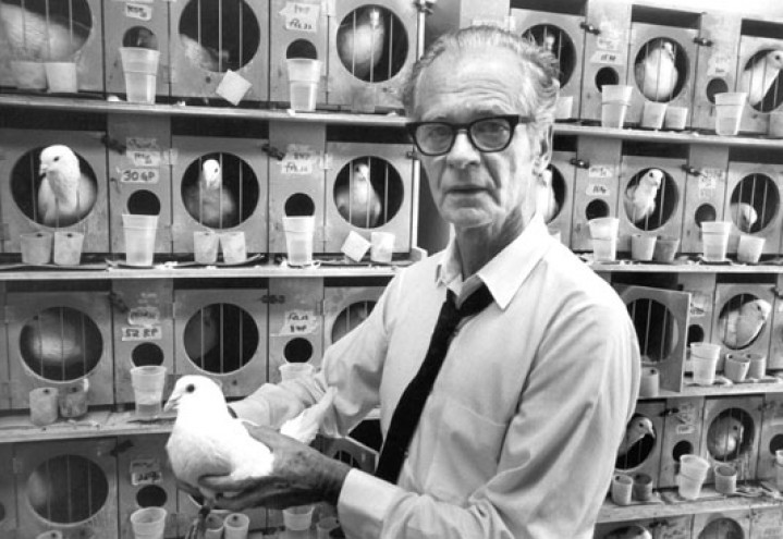 Historietime med B. F. Skinner