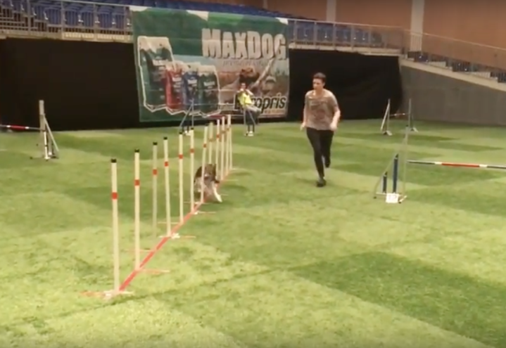 Slalomutfordringer med Cobra Slalomutfordringer med Cobra