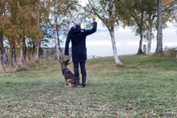 En morsom shapingøkt