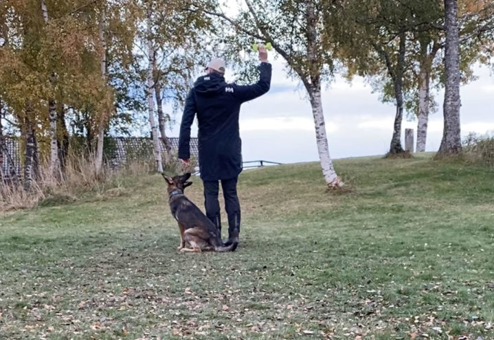 En morsom shapingøkt