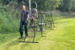 Baklengskjeding av Stigen – med startknappadferd
