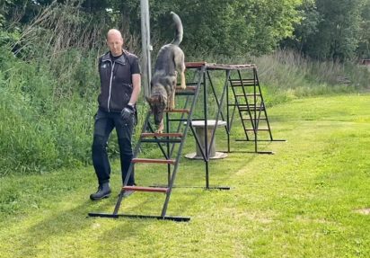 Baklengskjeding av Stigen – med startknappadferd