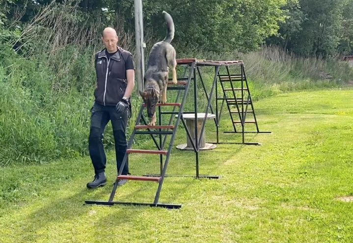 Baklengskjeding av Stigen – med startknappadferd